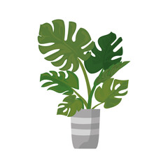 nice plant icon