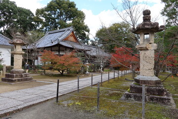  Kannon-do Hall and autumn leaves in the the precincts of Komyo-ji Temple in Nagaokakyo City in Kyoto prefecture in Japan 日本の京都府長岡京市にある光明寺境内の観音堂と紅葉
