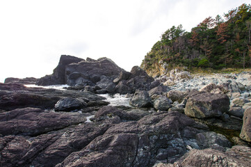 荒々しい火成岩で形成された潮岬の先端部