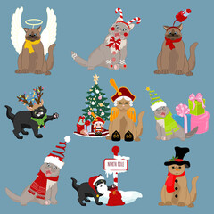 Cats in holyday christmas hats and costumes