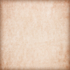 Old Paper texture. vintage paper background or texture; brown paper texture
