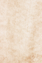 Old Paper texture. vintage paper background or texture; brown paper texture