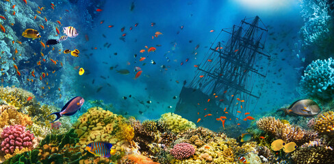 Fototapeta na wymiar A sunken shipwreck in sea. Underwater world. Coral fishes of Red sea. Egypt