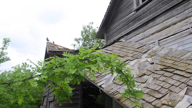 Exploring the ruins of an derelict abandoned rural farmhouse in an overgrown field of the Alberta prairies in western Canada.