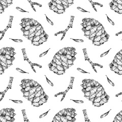 Cone, twig and seeds pattern. Outline natural objects. Hand-drawn illustration