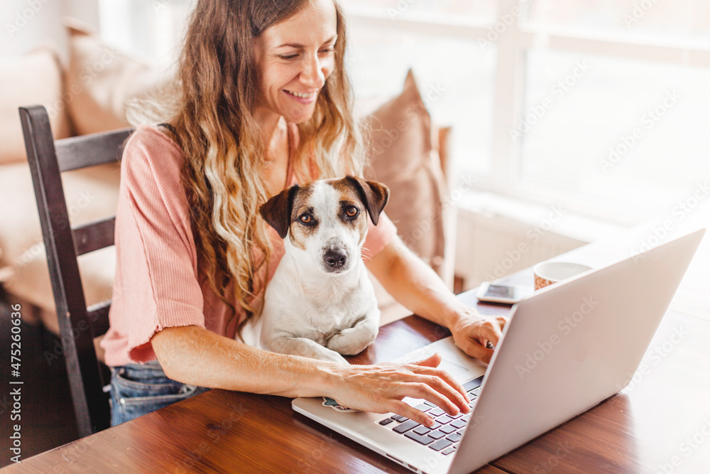 Wall mural female working on laptop with cute dog