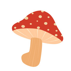 fly agaric mushroom I