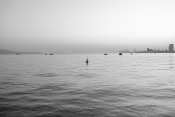 Lonely sea black and white photo