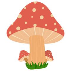 fly agaric mushroom vector illustration 