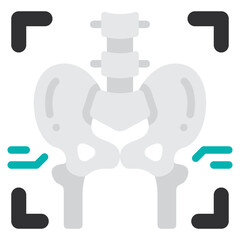 x rays flat icon