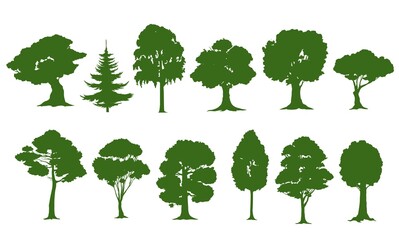 Isolated tree silhouettes, vector forest or garden green trees. Oak, pine, spruce fir or birch, willow and maple, nature woods with leaves and bushes, tall ash or poplar tree with branches - obrazy, fototapety, plakaty