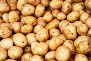 Potatoes. A Texture vegetable white young potato.