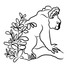 Cute hand drawn koala. Little funny rainforest animal. Australian bear sitting on tropical tree. line sketch. Vector illustration doodle animal. Isolated on white.