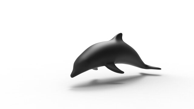 Front view of dolphin 3d render