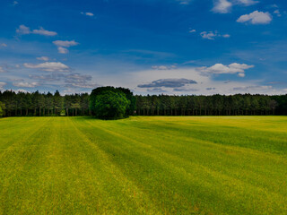 field and blue sky