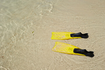 yellow flippers on the beach