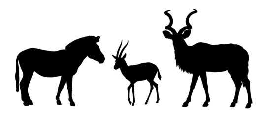 Greater kudu, zebra and Thomson's gazelle silhouette. African ruminants drawing.	