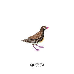 Quelea, African bird. Vector illustration isolated on white background.