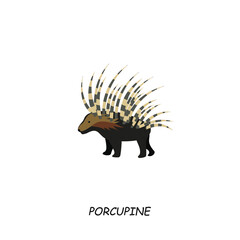 Porcupine, African animal. Vector illustration isolated on white background.