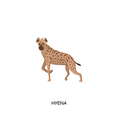 Hyena. African animal. Vector illustration isolated on white background.