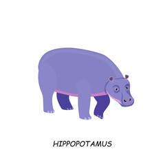 Hippopotamus. African animal. Vector illustration isolated on white background.