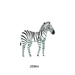 Fototapeta na wymiar Zebra. African animal. Vector illustration isolated on white background.