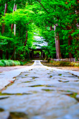 鎌倉五山第三位の古刹、寿福寺の苔むした石畳の参道