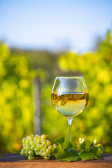 Verre de vin blanc et grappe de raisin blanc dans les vignes.