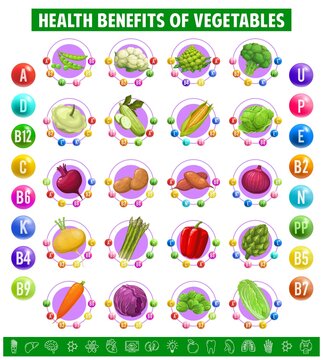 Chart table content of vitamins and minerals in vegetables. Green peas, cauliflower, artichoke and broccoli, squash and cabbage with beet and potato. Onion, turnip or asparagus, bell pepper and carrot