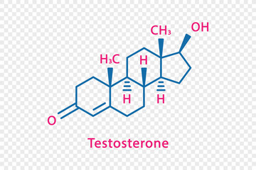Fototapeta premium Testosterone chemical formula. Testosterone structural chemical formula isolated on transparent background.