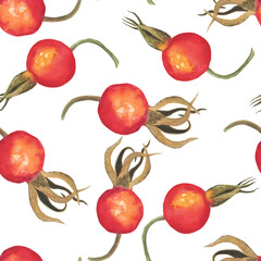 Rose hip berry in seamless pattern isolated on white background. Watercolor hand drawing illustration. Perfect for food design, textile, wrapping.