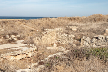 Excavations  of the ancient Phoenician city Tel Shikmona, on the shores of the Mediterranean Sea,...