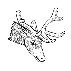 Deer head engraving vector illustration. Black color vintage style.