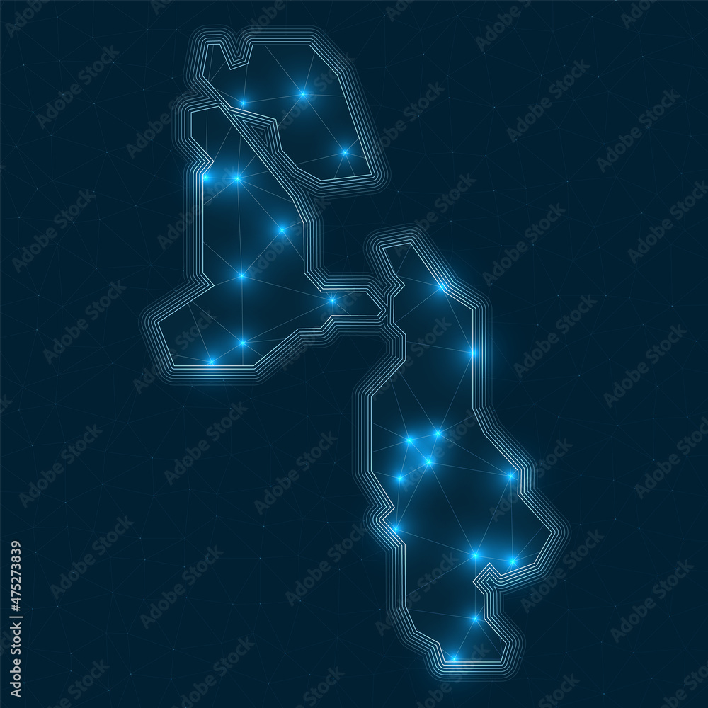 Poster pig beach network map. abstract geometric map of the island. digital connections and telecommunicati