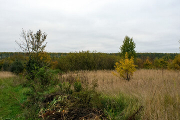 landscape on a cloudy autumn day