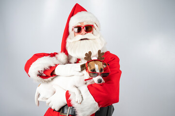 Santa claus and santa's helper in sunglasses on a white background. Jack russell terrier dog in a deer costume.
