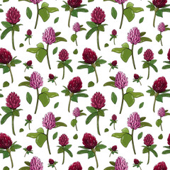 Vector blossom clover flowers seamless pattern. Digital paper for spring holiday St. Patrick's Day. Irish graphic. 