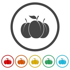 Plum fruit icon isolated on white background, color set