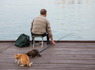 a man is fishing on the beach and a red cat