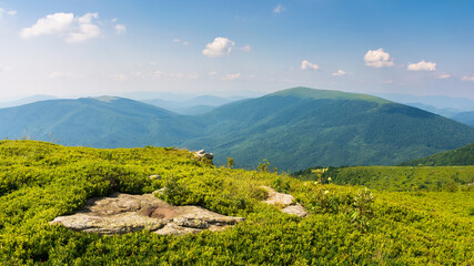 beautiful mountain landscape in summer. stones and rocks on a high alpine meadow. beautiful nature...