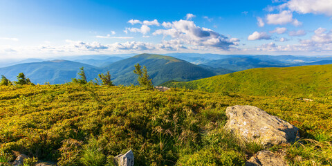 outdoor adventure scenery in mountains. beautiful green summer landscape. stones on the grassy hill...