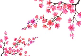 Cherry blossom card background