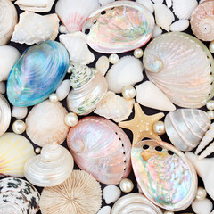 Seashell and pearl abstract background composition. Nature environmental concept of endangered...