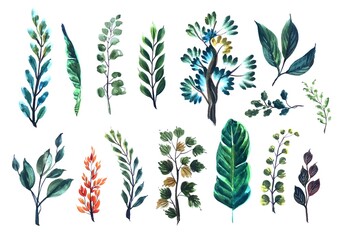 Set of watercolor various leaves elements