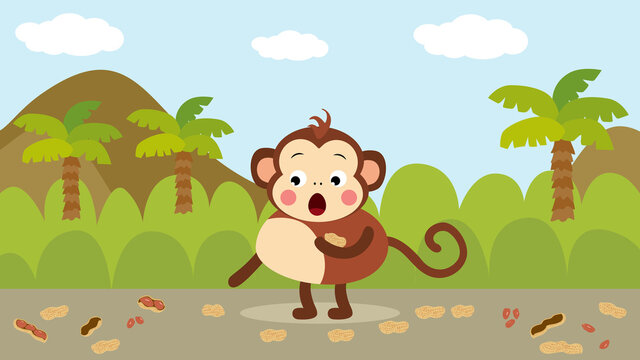 Cute monkey picking peanuts from the floor in forest