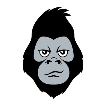 Funny smiling gorilla head icon vector. Monkey face cartoon character. Simple gorilla head graphic icon isolated on a white background