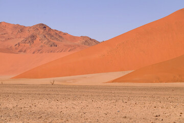 Deadvlei is located near the famous salt pan of Sossusvlei, inside the Namib-Naukluft Park in Namibia