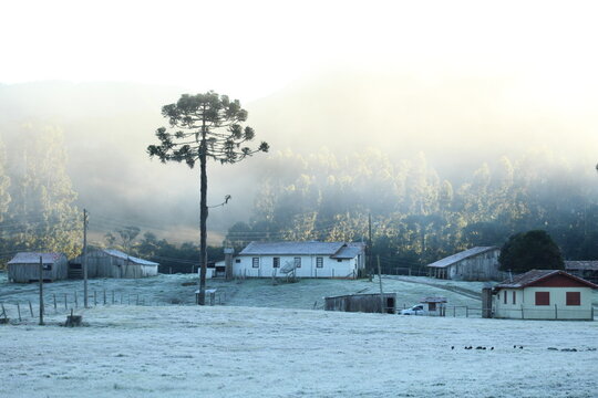 amanhecer com geada cobrindo a paisagem em Urubici, Santa Catarina 
