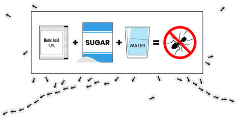 Ant bait recipe with Boric Acid, sugar and water. Insecticide. Prohibited sign no ants. Illustration on white background.