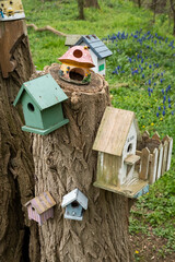 birdhouses
